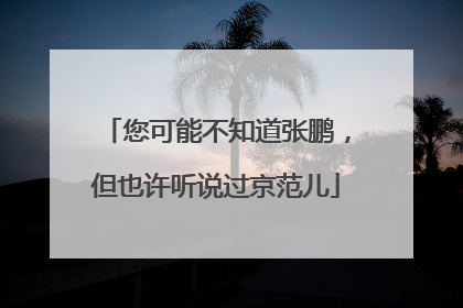 您可能不知道张鹏，但也许听说过京范儿
