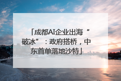 成都AI企业出海“破冰”：政府搭桥，中东首单落地沙特