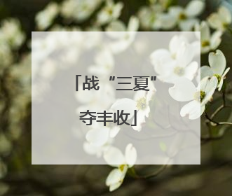 战“三夏” 夺丰收