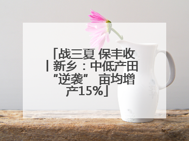 战三夏 保丰收丨新乡：中低产田“逆袭” 亩均增产15%