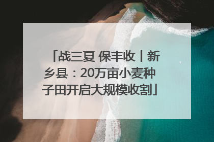 战三夏 保丰收丨新乡县：20万亩小麦种子田开启大规模收割