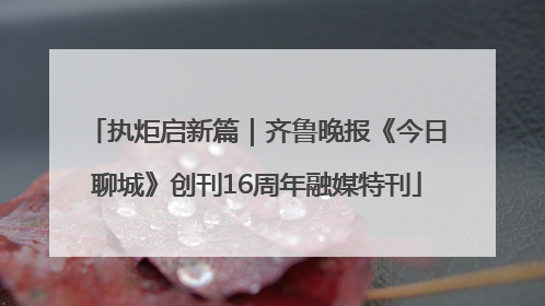执炬启新篇｜齐鲁晚报《今日聊城》创刊16周年融媒特刊