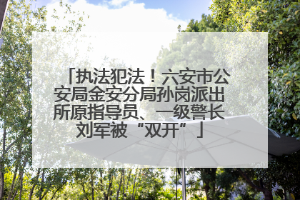 执法犯法！六安市公安局金安分局孙岗派出所原指导员、一级警长刘军被“双开”