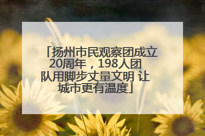 扬州市民观察团成立20周年，198人团队用脚步丈量文明 让城市更有温度