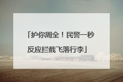 护你周全！民警一秒反应拦截飞落行李