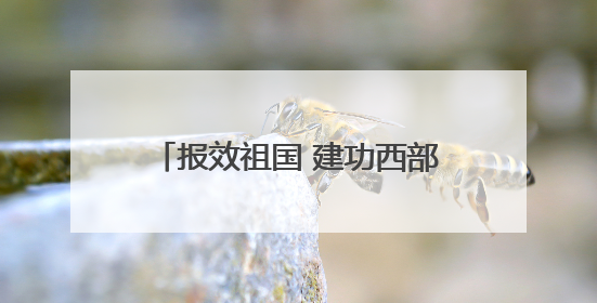 报效祖国 建功西部｜在西部，有一群“追光”的青年科学家