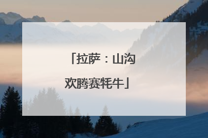 拉萨：山沟欢腾赛牦牛