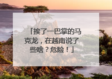 挨了一巴掌的马克龙，在越南说了些啥？危险！