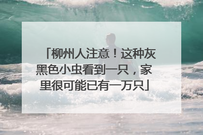 柳州人注意！这种灰黑色小虫看到一只，家里很可能已有一万只
