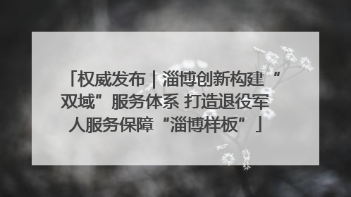 权威发布｜淄博创新构建“双域”服务体系 打造退役军人服务保障“淄博样板”