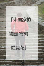 来国家植物园 赏绚烂夏花
