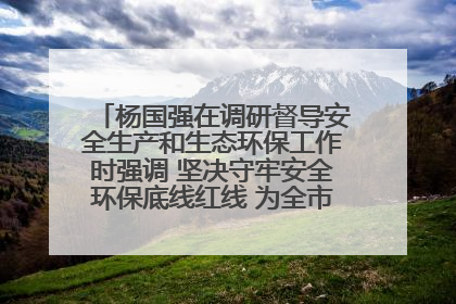 杨国强在调研督导安全生产和生态环保工作时强调 坚决守牢安全环保底线红线 为全市经济社会高质量发展提供坚强保障