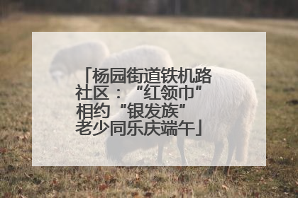 杨园街道铁机路社区：“红领巾”相约“银发族” 老少同乐庆端午