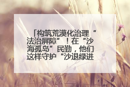 构筑荒漠化治理“法治屏障”！在“沙海孤岛”民勤，他们这样守护“沙退绿进”的生态奇迹