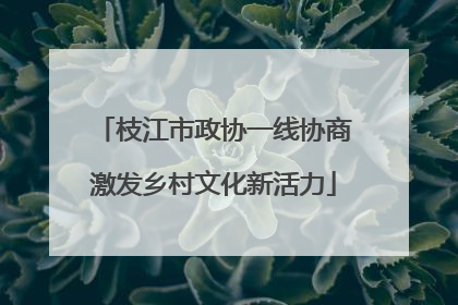 枝江市政协一线协商激发乡村文化新活力