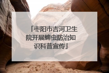 枣阳市吉河卫生院开展蜱虫防治知识科普宣传