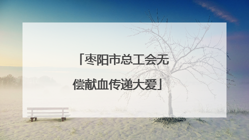 枣阳市总工会无偿献血传递大爱