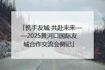 携手友城 共赴未来——2025黄河口国际友城合作交流会侧记