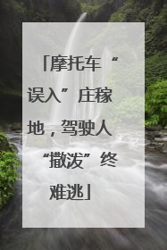 摩托车“误入”庄稼地，驾驶人“撒泼”终难逃