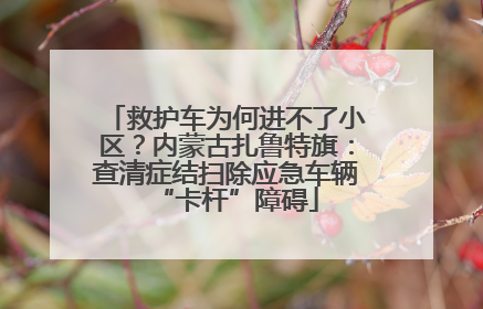 救护车为何进不了小区？内蒙古扎鲁特旗：查清症结扫除应急车辆“卡杆”障碍
