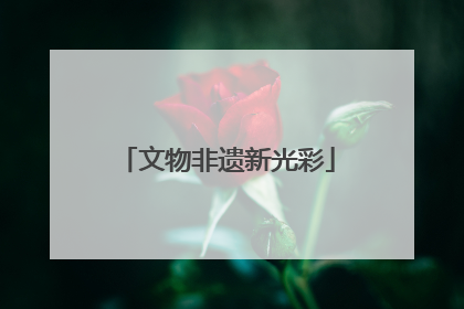 文物非遗新光彩