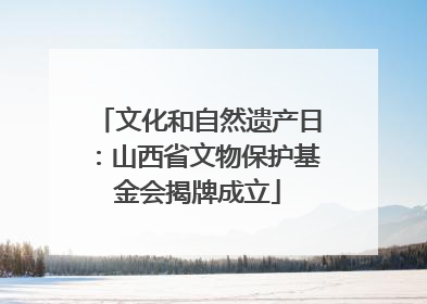 文化和自然遗产日：山西省文物保护基金会揭牌成立