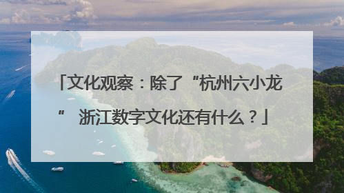 文化观察：除了“杭州六小龙” 浙江数字文化还有什么？