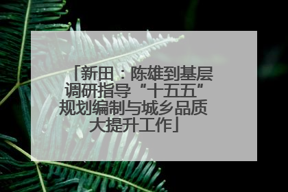 新田：陈雄到基层调研指导“十五五”规划编制与城乡品质大提升工作