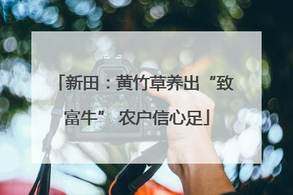 新田：黄竹草养出“致富牛” 农户信心足