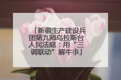 新疆生产建设兵团第九师乌拉斯台人民法庭：用“三调联动”解牛事