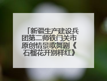 新疆生产建设兵团第二师铁门关市原创情景歌舞剧《石榴花开别样红》将来河北巡演