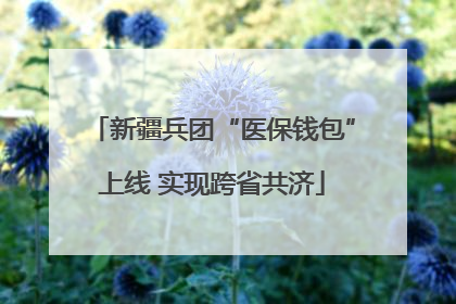 新疆兵团“医保钱包”上线 实现跨省共济
