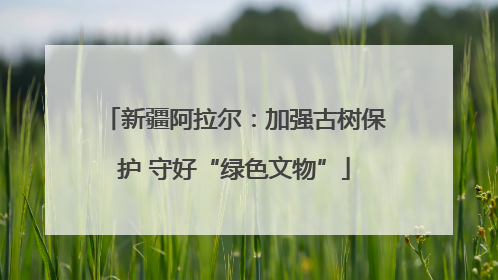 新疆阿拉尔：加强古树保护 守好“绿色文物”