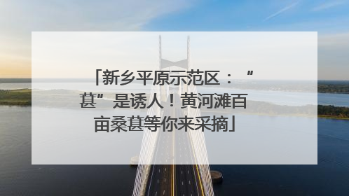 新乡平原示范区：“葚”是诱人！黄河滩百亩桑葚等你来采摘