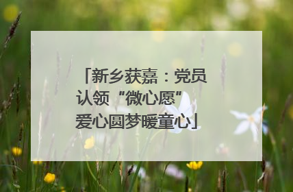 新乡获嘉：党员认领“微心愿” 爱心圆梦暖童心
