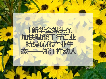 新华全媒头条丨加快赋能千行百业 持续优化产业生态——浙江推动人工智能健康有序发展观察