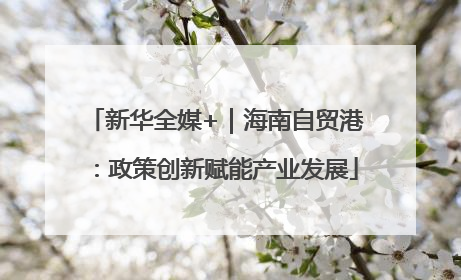 新华全媒+｜海南自贸港：政策创新赋能产业发展
