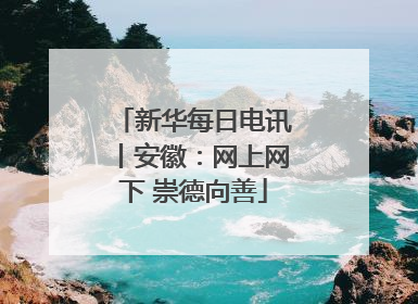 新华每日电讯丨安徽：网上网下 崇德向善