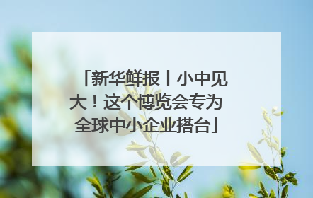 新华鲜报丨小中见大！这个博览会专为全球中小企业搭台