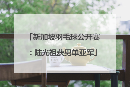 新加坡羽毛球公开赛：陆光祖获男单亚军