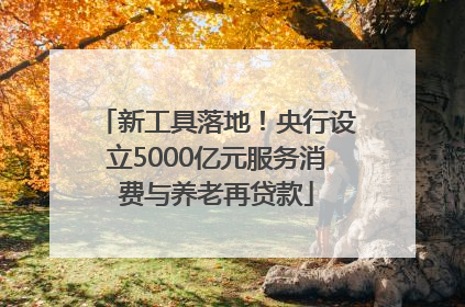 新工具落地！央行设立5000亿元服务消费与养老再贷款