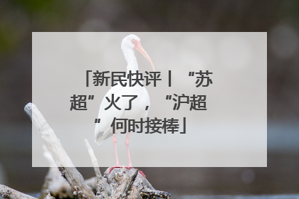 新民快评丨“苏超”火了，“沪超”何时接棒
