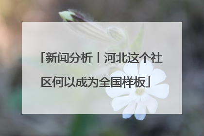 新闻分析丨河北这个社区何以成为全国样板