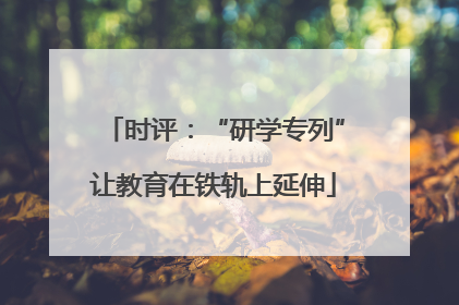 时评：“研学专列”让教育在铁轨上延伸