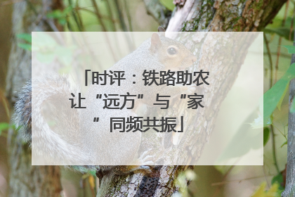 时评：铁路助农让“远方”与“家”同频共振