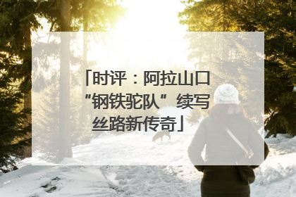 时评：阿拉山口“钢铁驼队”续写丝路新传奇