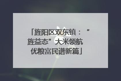 旌阳区双东镇：“旌益态”大米领航 优粮富民谱新篇