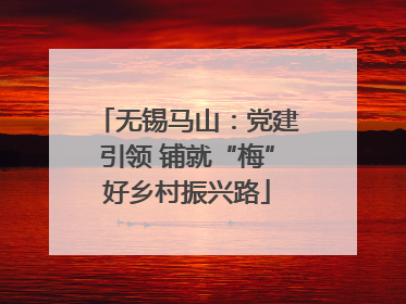 无锡马山：党建引领 铺就“梅”好乡村振兴路