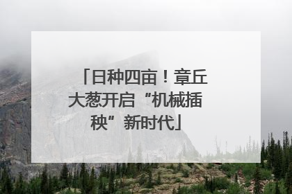 日种四亩！章丘大葱开启“机械插秧”新时代