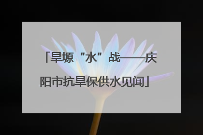 旱塬“水”战——庆阳市抗旱保供水见闻